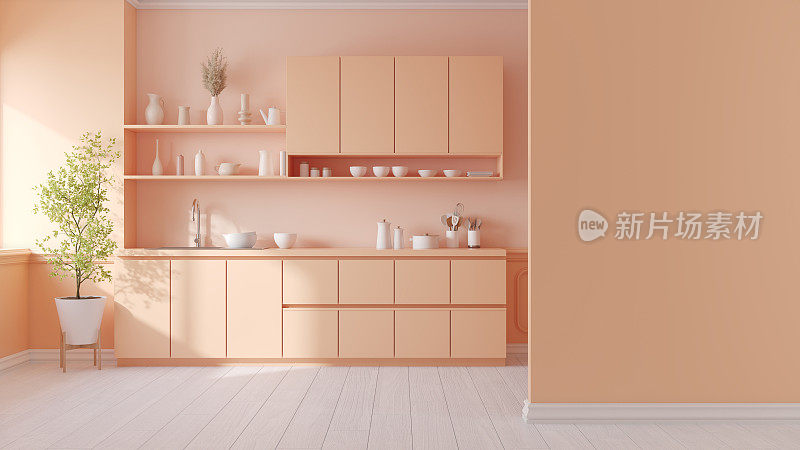 桃色绒毛房，极简奢华的厨房房内饰，桃色漆墙。2024年度色彩，3d渲染