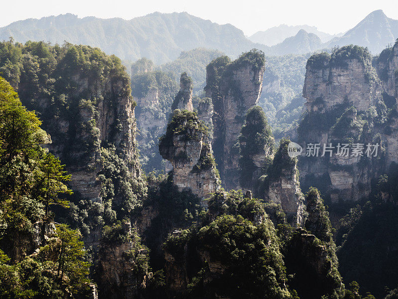 中国湖南省张家界武陵源国家森林公园天子山(阿凡达山脉)天然石英砂岩柱的壮丽景色。令人难以置信的景色。这个国家公园是电影《阿凡达》的灵感来源。