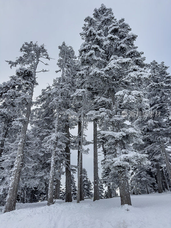 无人机拍摄的雪山鸟瞰图