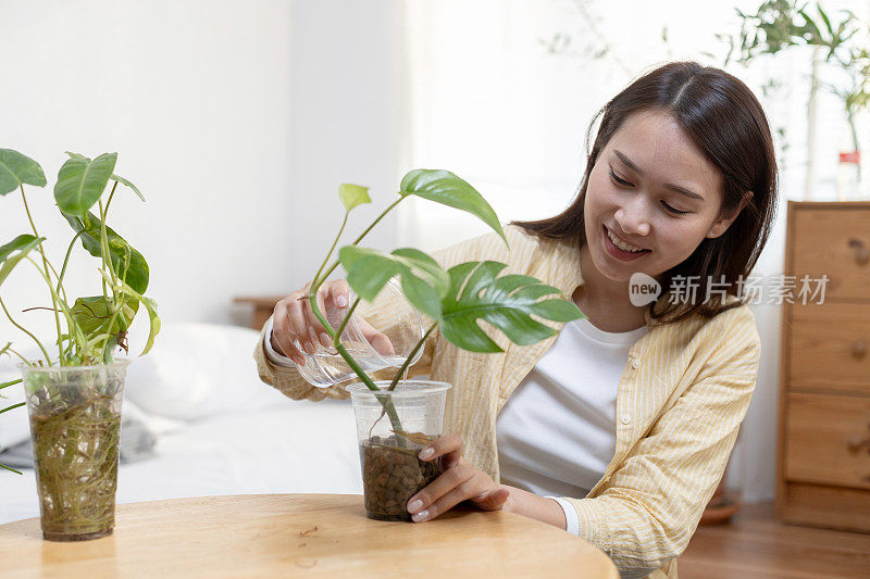 亚洲女性在家里用塑料瓶架把水倒进塑料瓶里。把塑料瓶或废料回收到花盆里。回收再利用的概念。