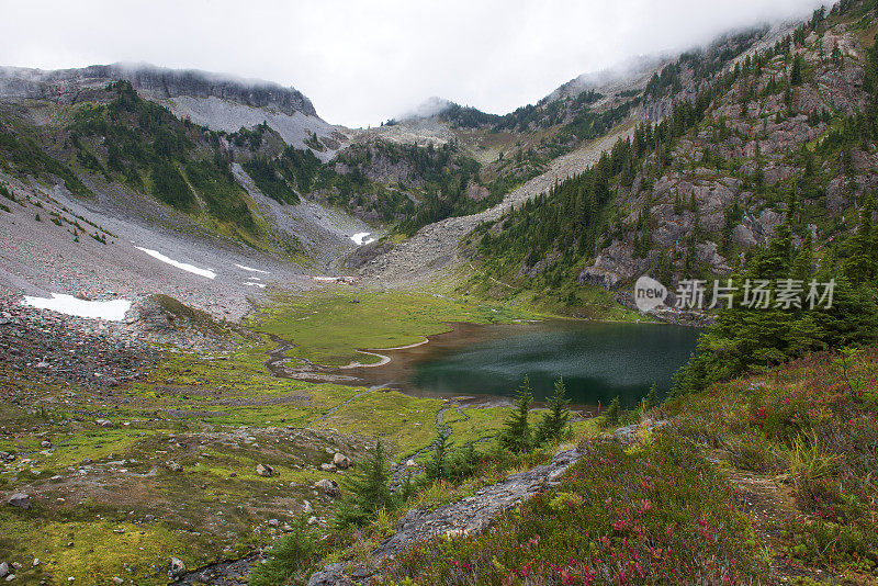 贝克山休闲区希瑟草地的风景