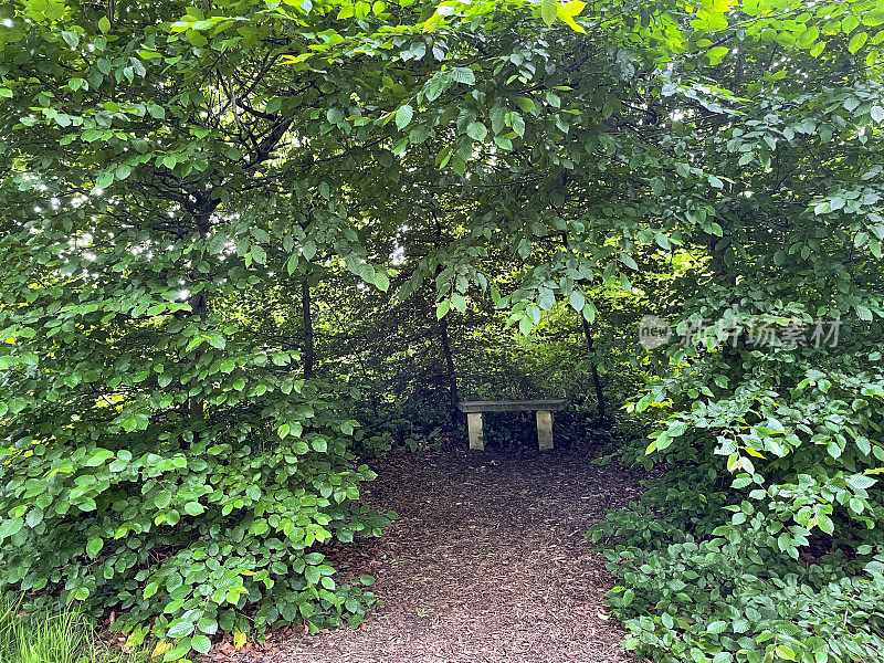 在角梁(Carpinus)凉亭的乡村木凳的特写图像，由缠绕的树枝制成的圆顶遮蔽