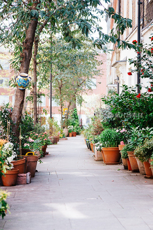 住宅城市街道用盆栽植物和鲜花装饰