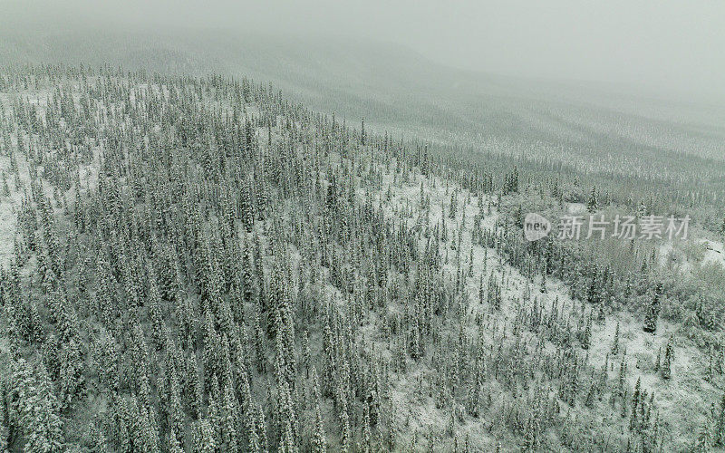 加拿大育空地区冬季暴雪过后的北方自然森林鸟瞰图