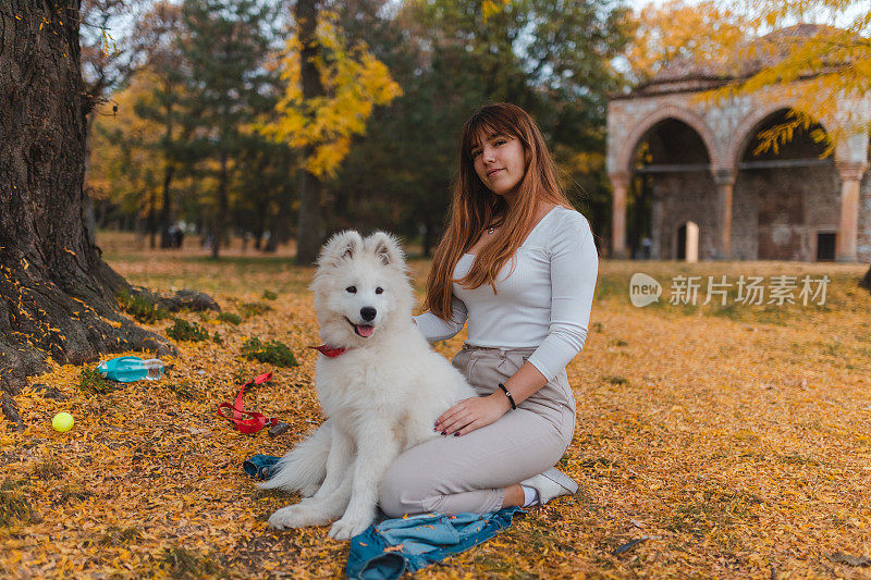 美丽的年轻女子与她的萨摩耶小狗摆姿势在公园的户外秋天