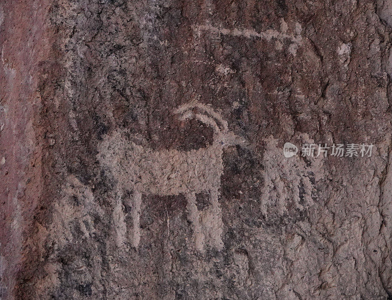 弗里蒙特文化岩画，大角羊家族。