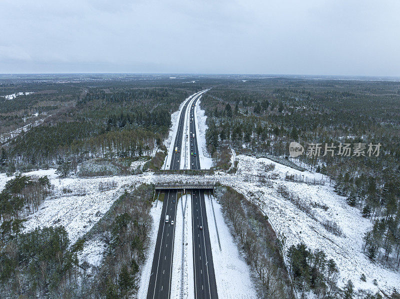 从上方俯瞰，野生动物从高速公路上穿过雪域森林