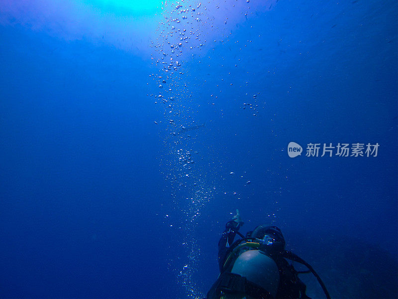 红海中的潜水员指着远处的梭鱼