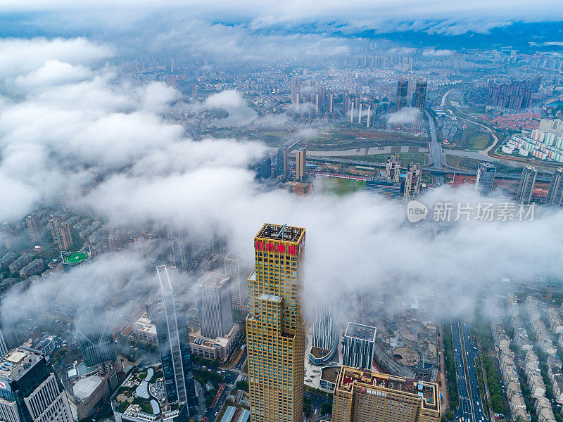 现代城市地标鸟瞰图，平流雾，上海，中国