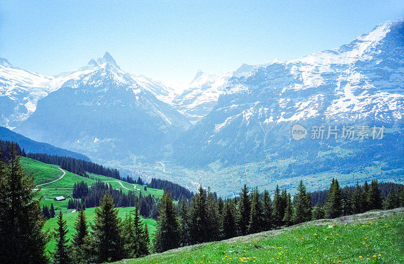 瑞士阿尔卑斯山格林德沃