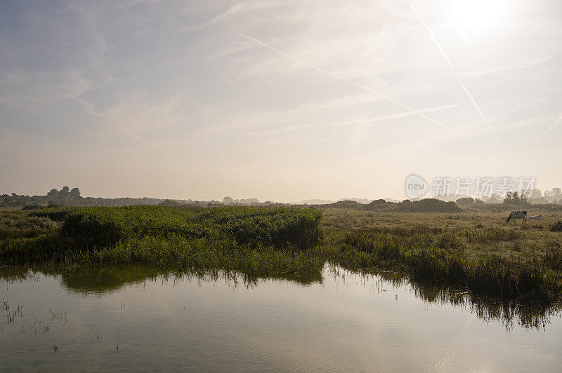 在一个阳光明媚的夏日早晨，沙丘上有雾的日出