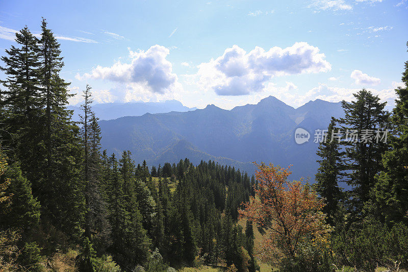 德国巴伐利亚州鲁波尔丁的Rauschberg山上美丽的秋景