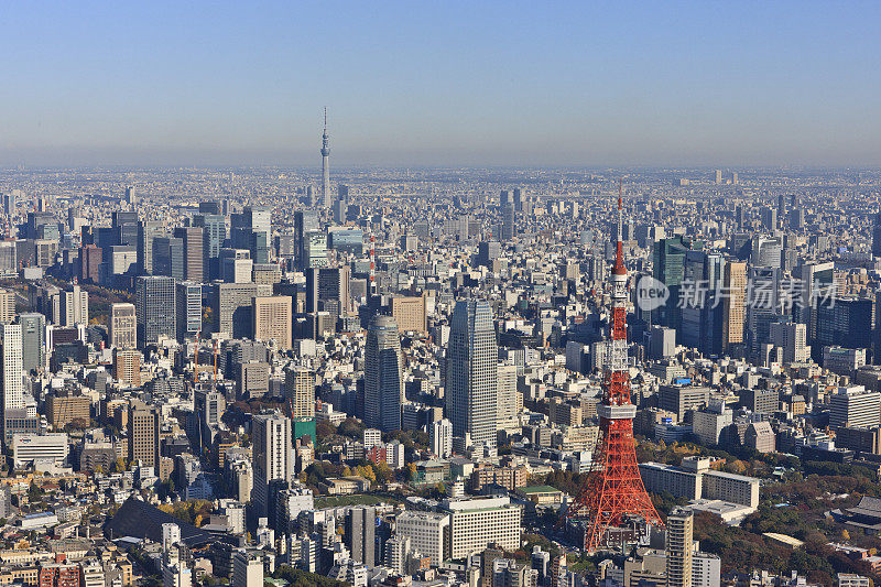 天空树和东京塔，东京