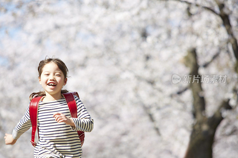 小学女生沿着樱花树两旁的道路奔跑