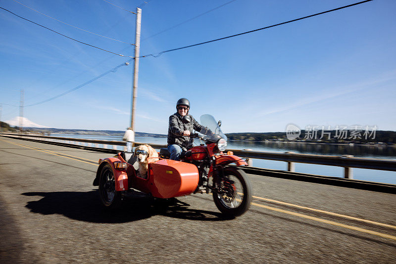 男人和狗骑在老式的挎斗摩托车
