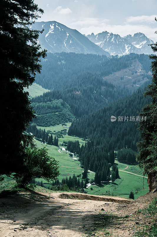 夏日清晨美丽的山景