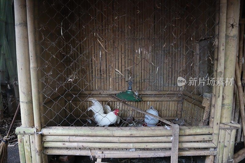 木制的传统鸡舍