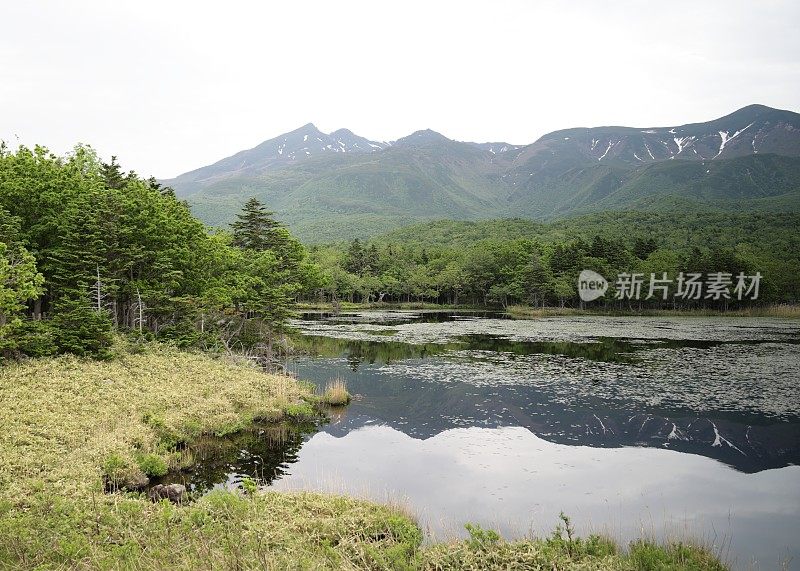 日本北海道七子五子湖中的一彦湖