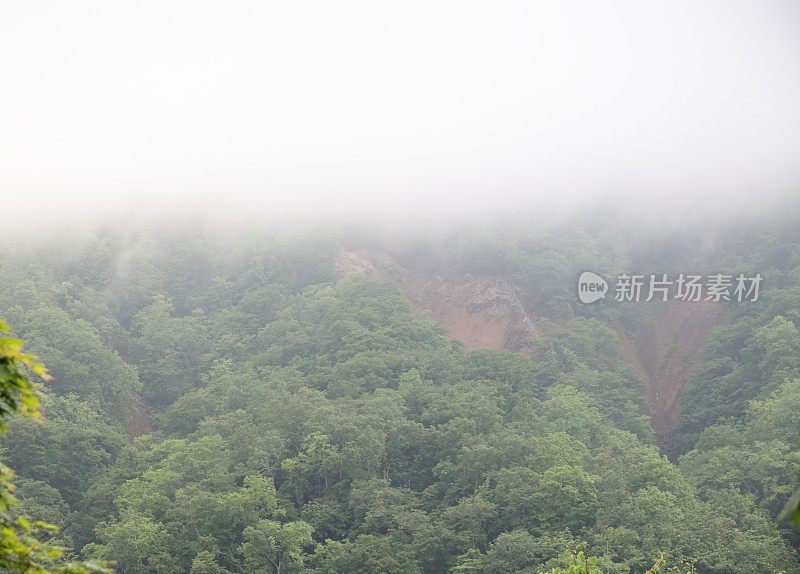 雾笼罩在山的信别，日本