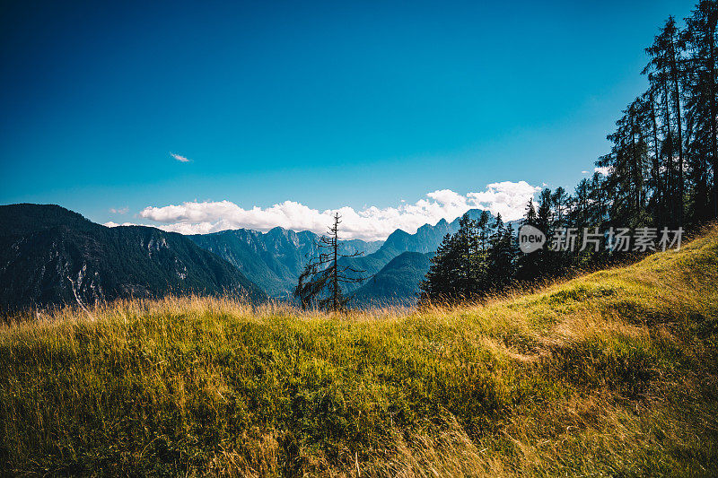 风景如画的特里格拉夫山全景