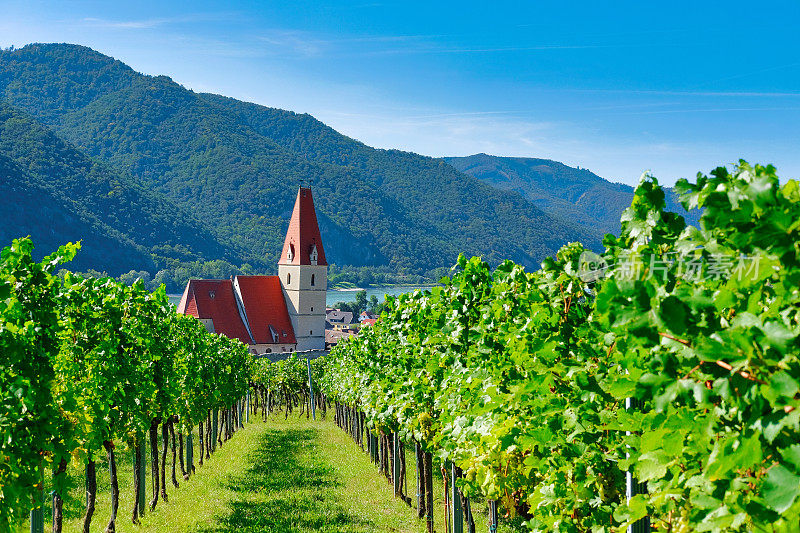 参观瓦豪，奥地利最著名的葡萄酒产区之一。观赏著名的小镇“魏森基兴和多瑙”。