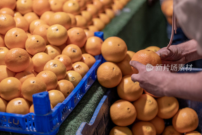 面目全非的人在街市上挑选橙子