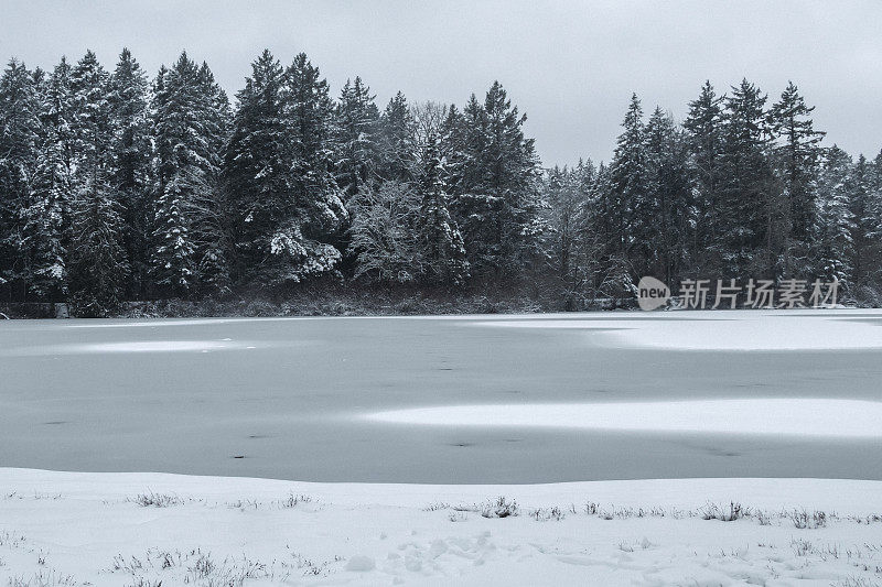 海狸湖地区公园的雪景