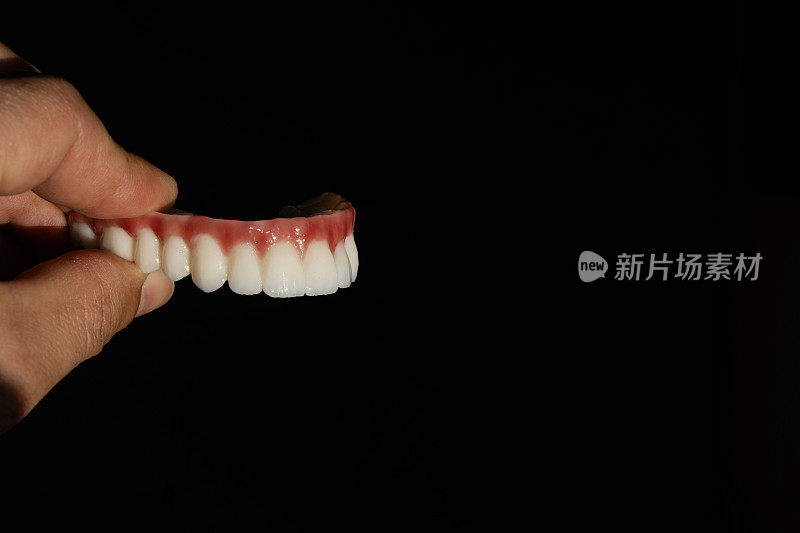 上颌牙齿模型
