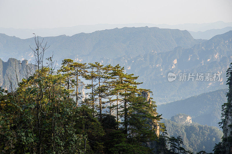 中国张家界国家森林公园的阿凡达山脉。这个国家公园是电影《阿凡达》的灵感来源