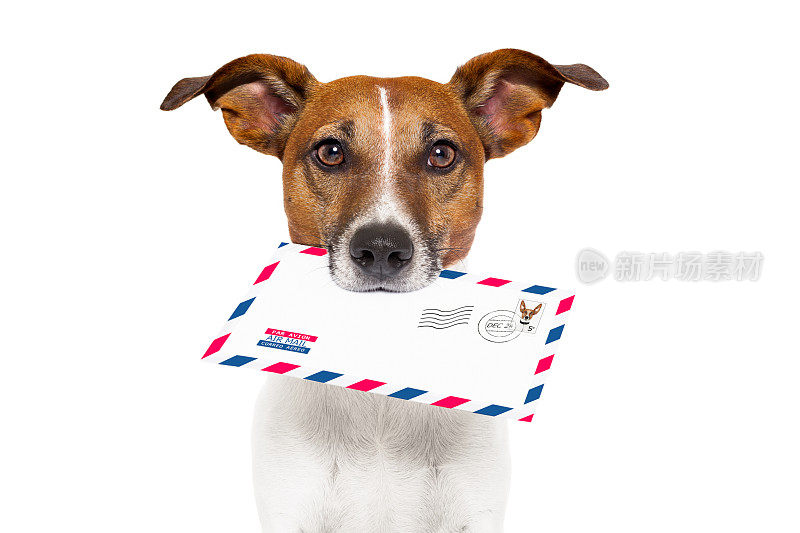 狗抱着一封邮件给主人快速投递