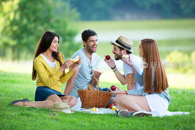 一群朋友在绿色草地上野餐