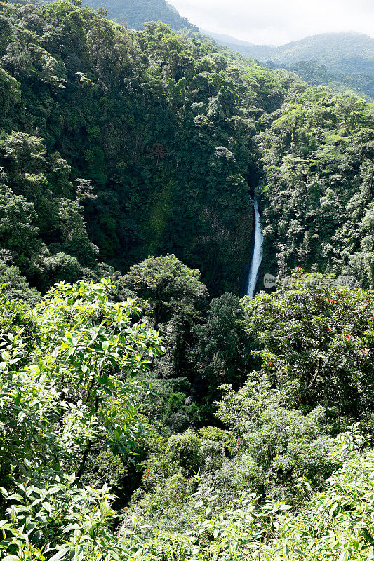 哥斯达黎加蒙特维德云森林的瀑布