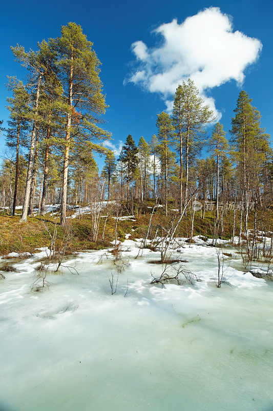 芬兰拉普兰的冬天结束了