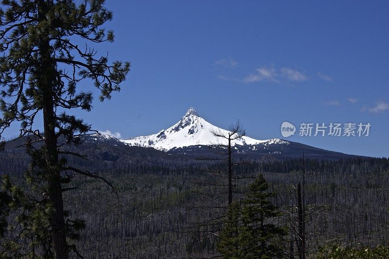 华盛顿山蓝冰