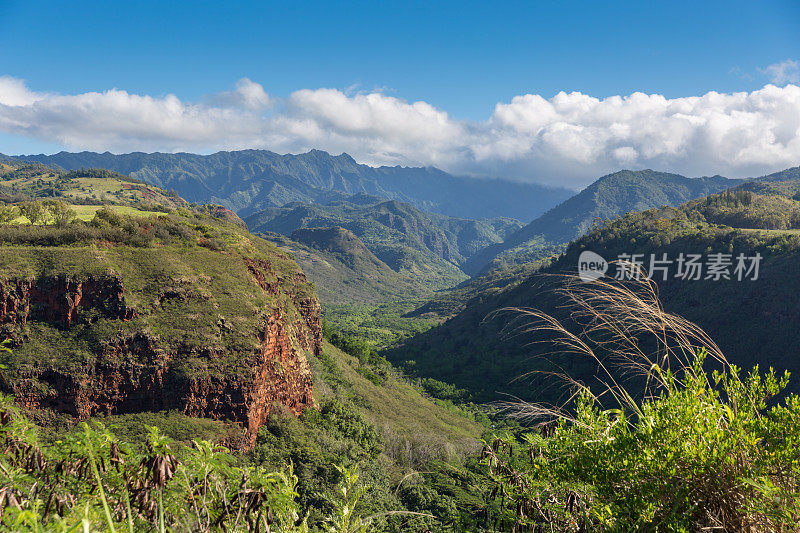 威美亚峡谷州立公园景观，考艾岛，夏威夷