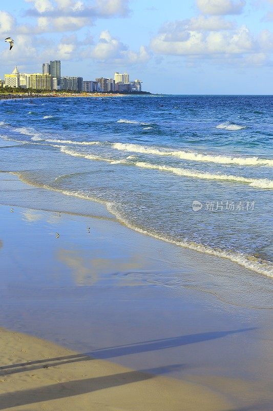 阳光明媚的迈阿密南海滩天际线和鸽子，佛罗里达，美国