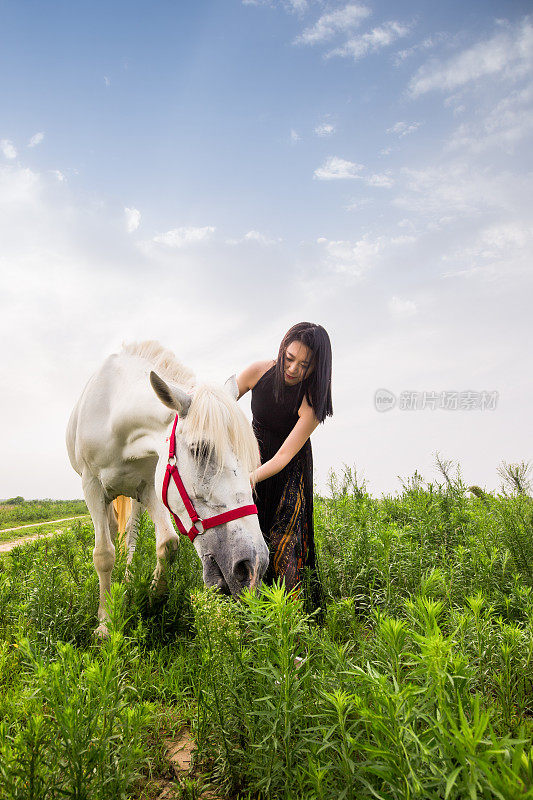 本质上的女人和马