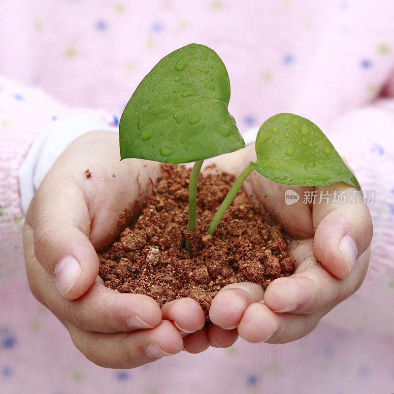 抱着幼苗的小孩