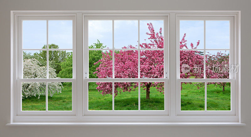 白色的窗户和苹果花