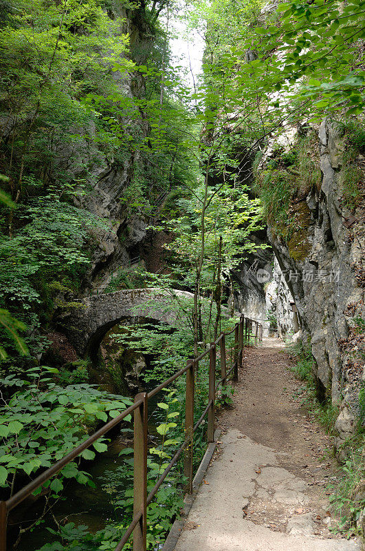 阿雷泽峡谷和瑞士汝拉河