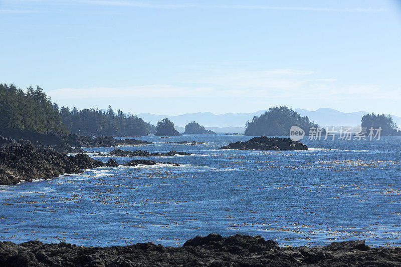 Ucluelet,温哥华岛