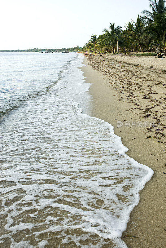 热带海滩