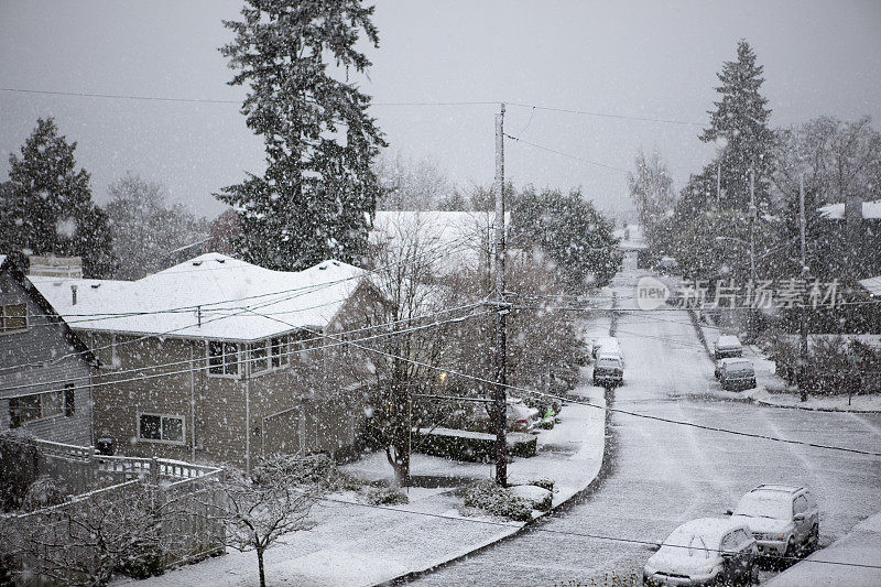 XXXL西雅图冬季暴风雪