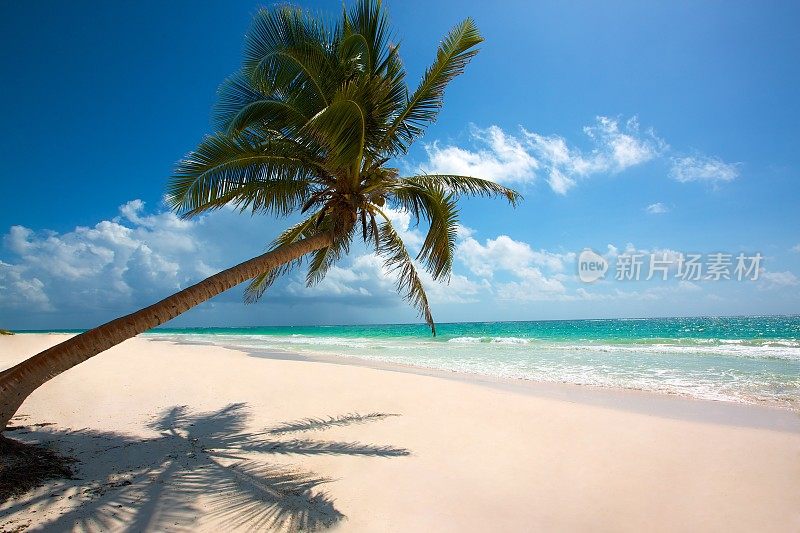 美丽的加勒比白沙滩