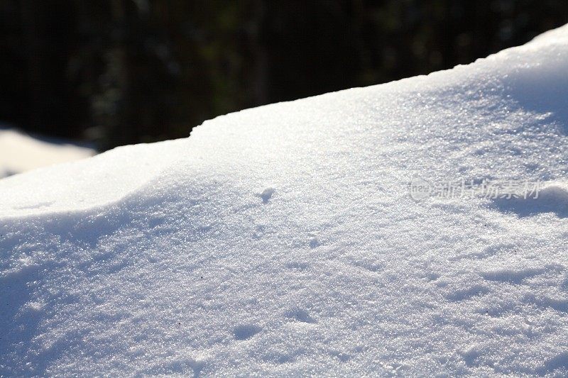 冬天的风景与雪在黑森林