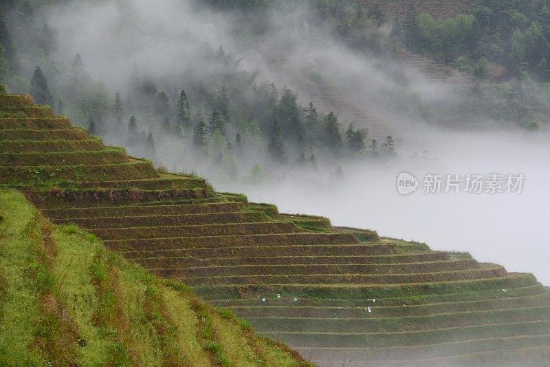 迷雾龙胜梯田，中国广西地区