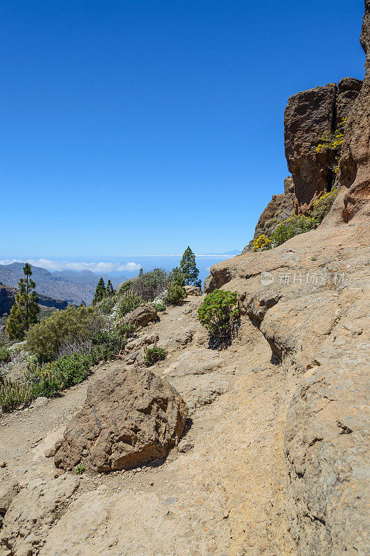 特内里费岛泰德山