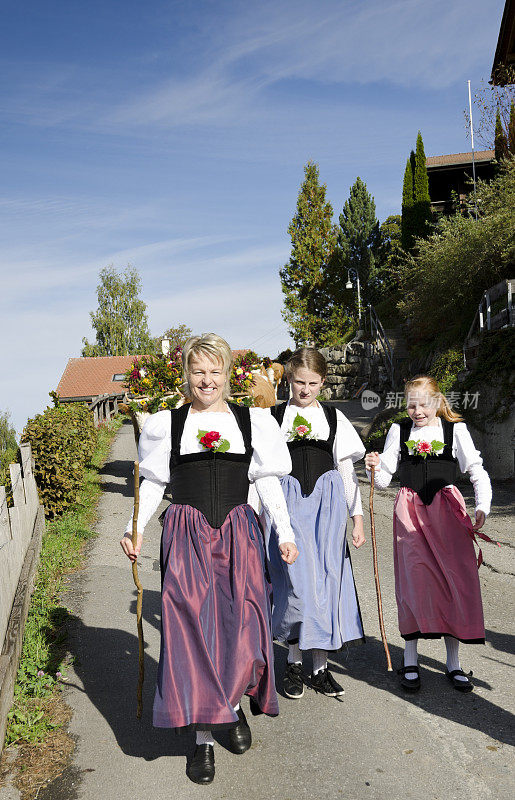 一个瑞士阿尔卑斯农民家庭，把牛带到镇上