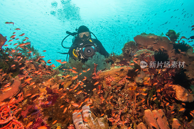 水肺潜水员在拍摄鱼