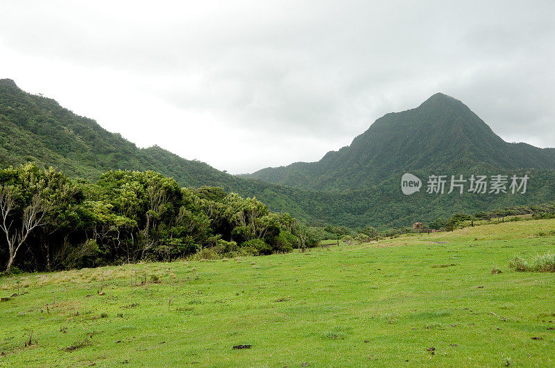 Kualoa谷